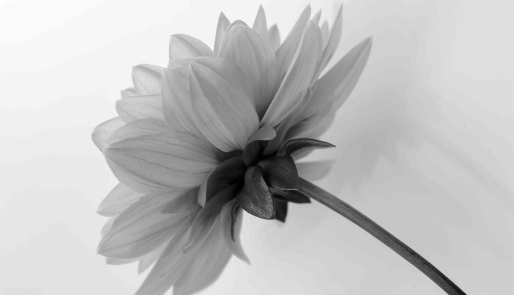 Can I Use Bladder Pads for My Period