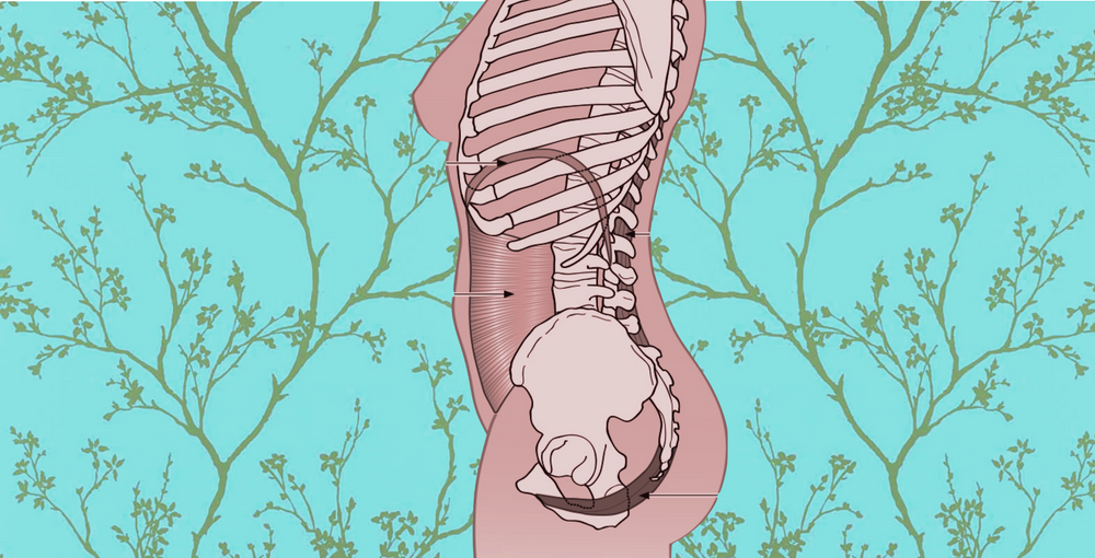 back pain and incontinence