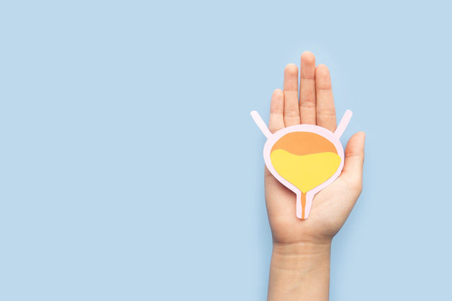 The State of Incontinence