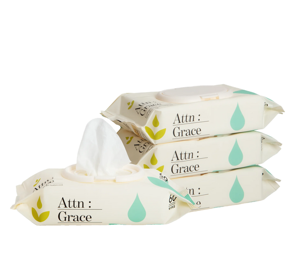 Organic Flushable Wipes (4 packs)
